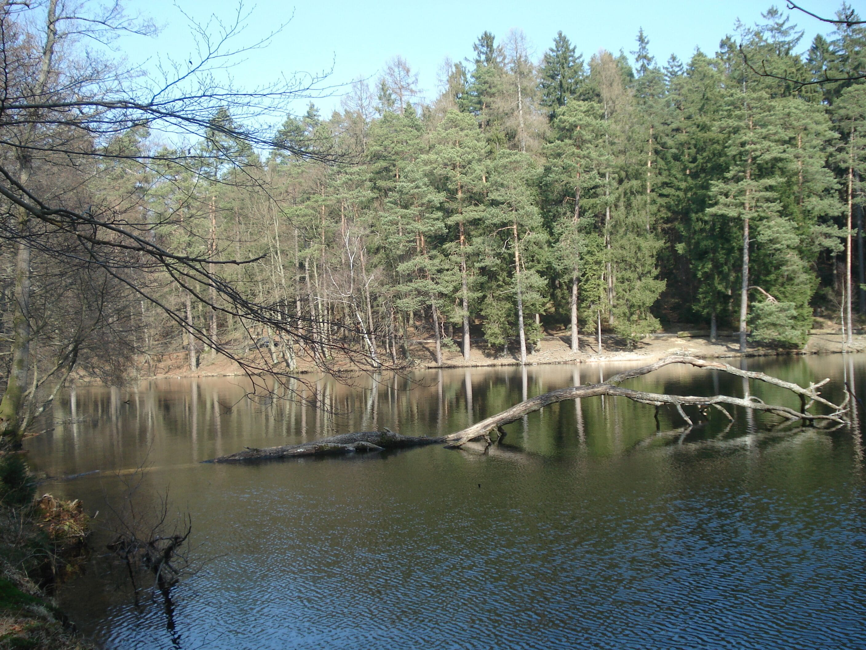 Der Wiesbüttsee