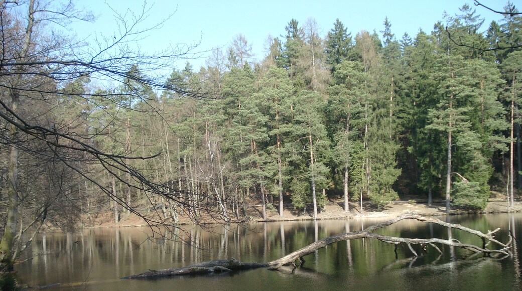 Der Wiesbüttsee