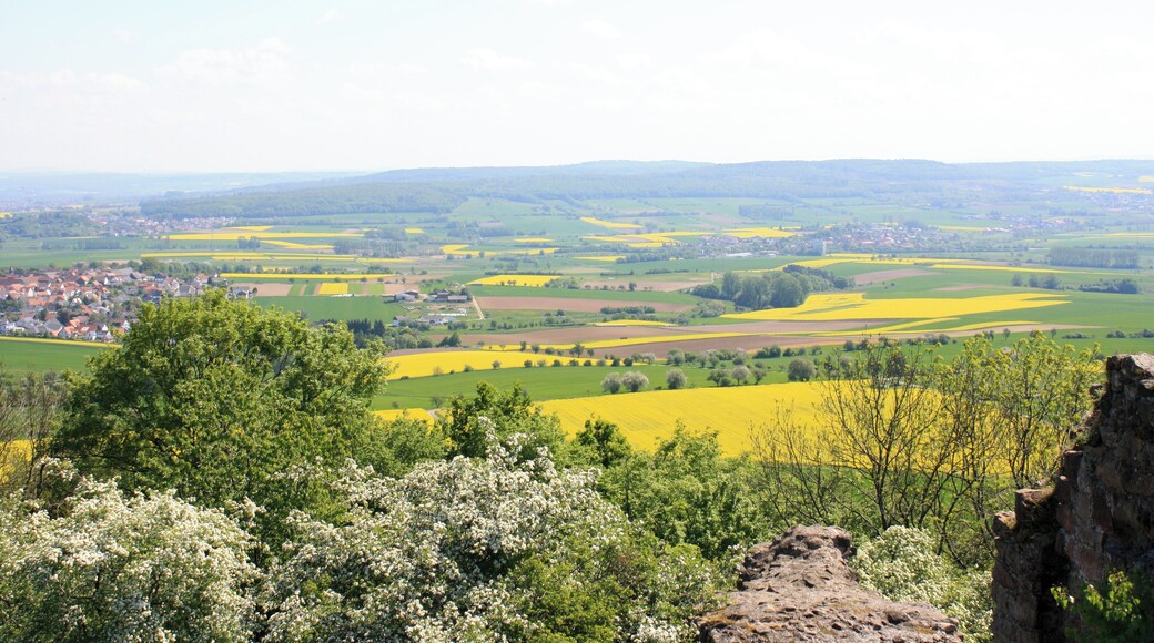 Blick von der Burgruine Frauenberg