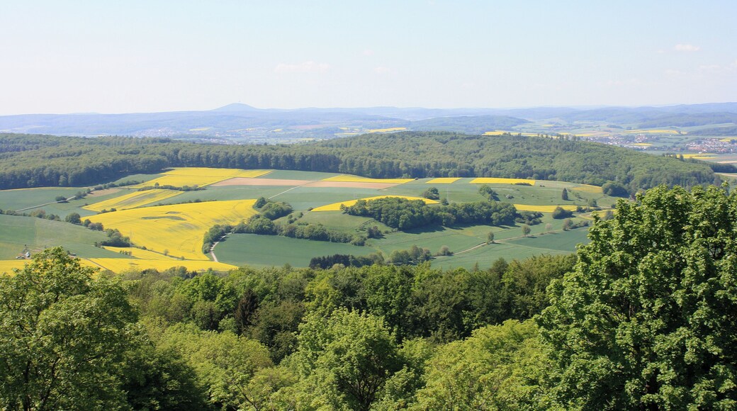 Blick von der Burgruine Frauenberg nach Süd-Westen. Am Horizont der weithin sichtbare Dünsberg, dazwischen das Lahntal zwischen Gießen (weiter südlich, links im Bild) und Marburg (im Norden, rechts).