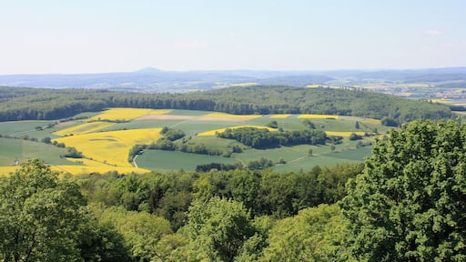 Blick von der Burgruine Frauenberg nach Süd-Westen. Am Horizont der weithin sichtbare Dünsberg, dazwischen das Lahntal zwischen Gießen (weiter südlich, links im Bild) und Marburg (im Norden, rechts).