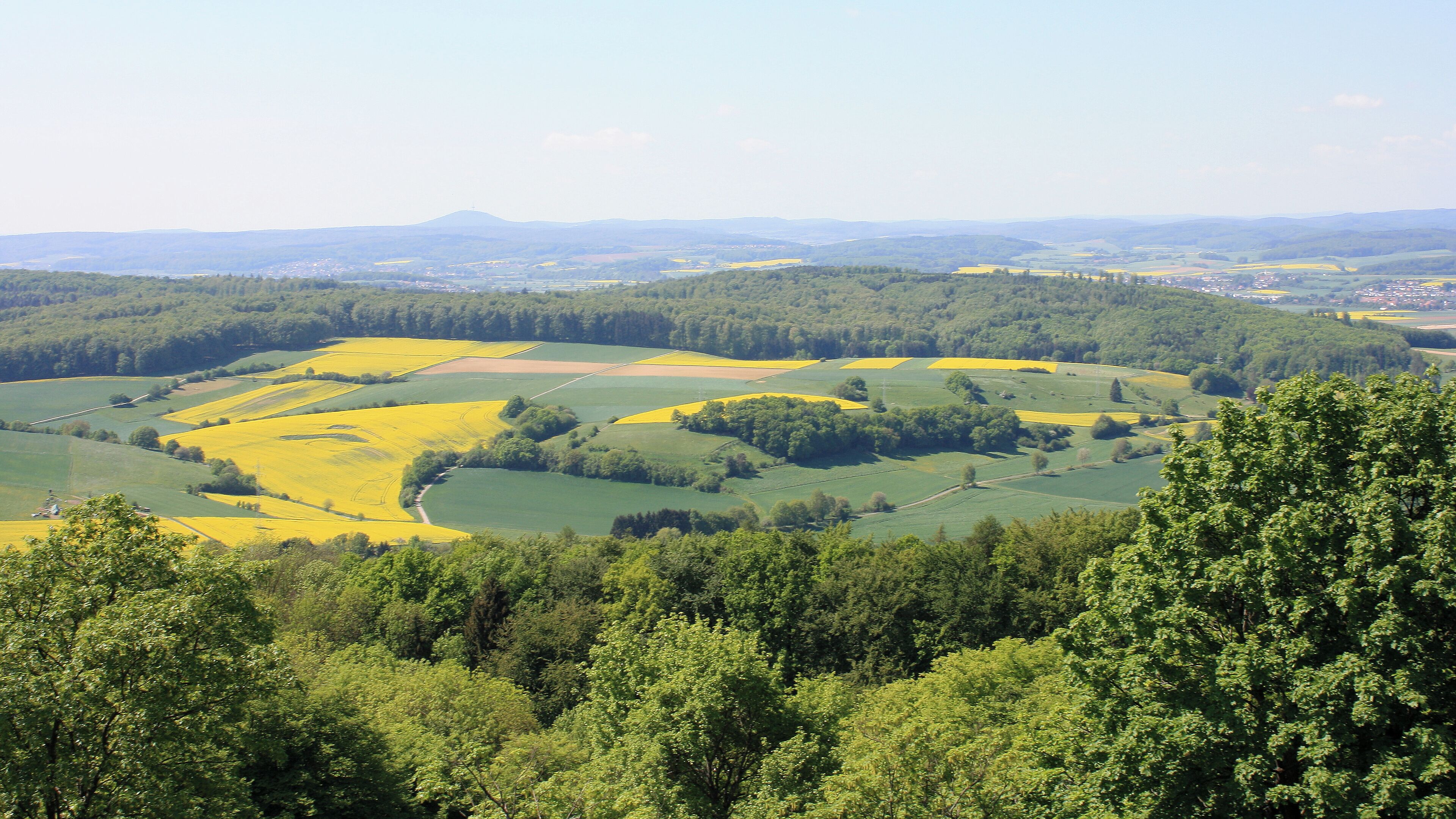 A rural landscape with rolling hills, fields of yellow crops, and dense forests.