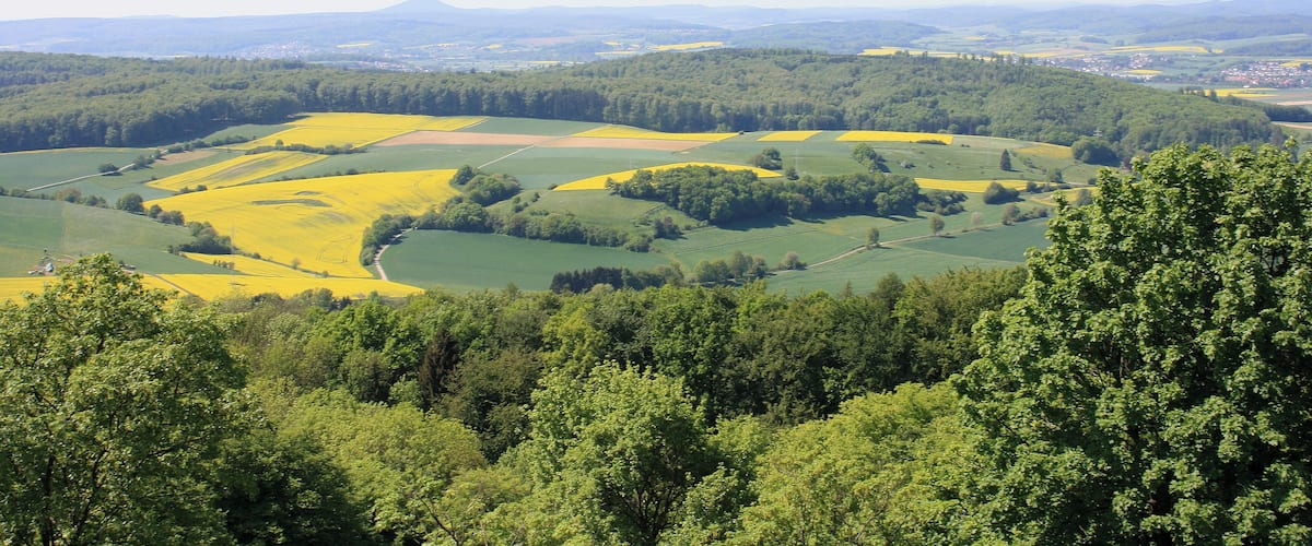 A rural landscape with rolling hills, fields of yellow crops, and dense forests.