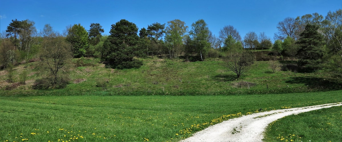 A rural landscape with a dirt path, green grass, and trees.