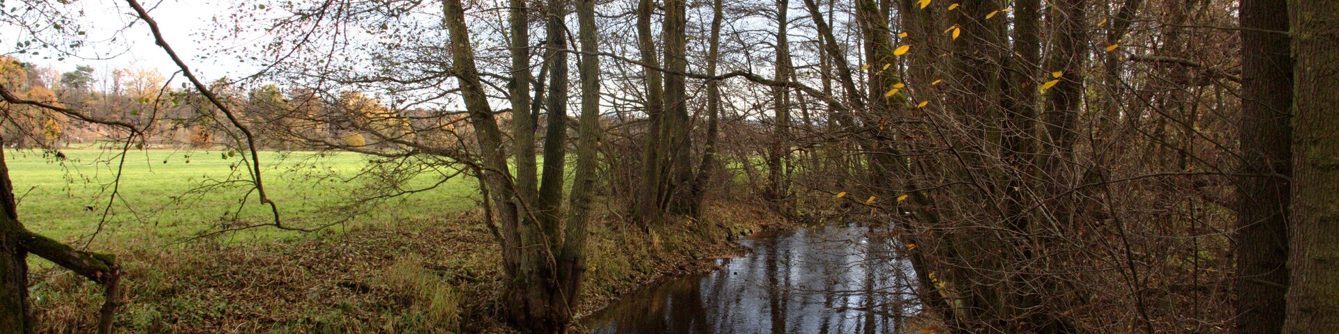 This is a picture of the protected area listed at WDPA under the ID