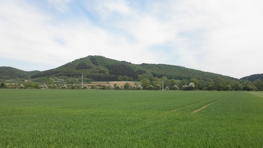 (NSG:HE-1534025)_Homberg bei Buchenau, the protected landscape is situated on the back of the mountain