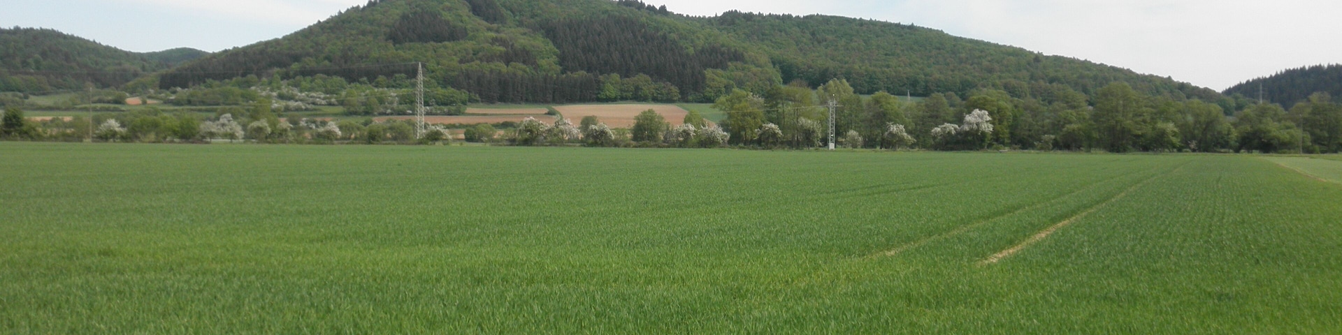 (NSG:HE-1534025)_Homberg bei Buchenau, the protected landscape is situated on the back of the mountain