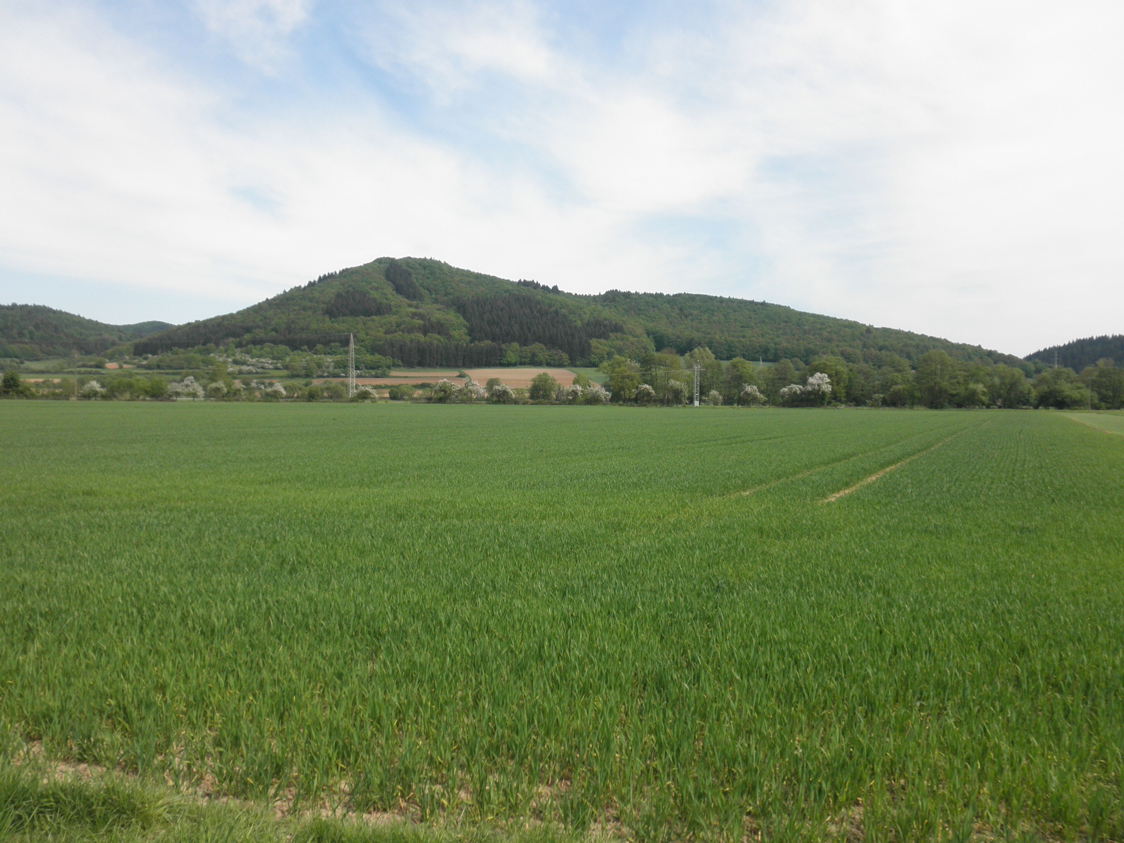 A green field with a hill in the background.