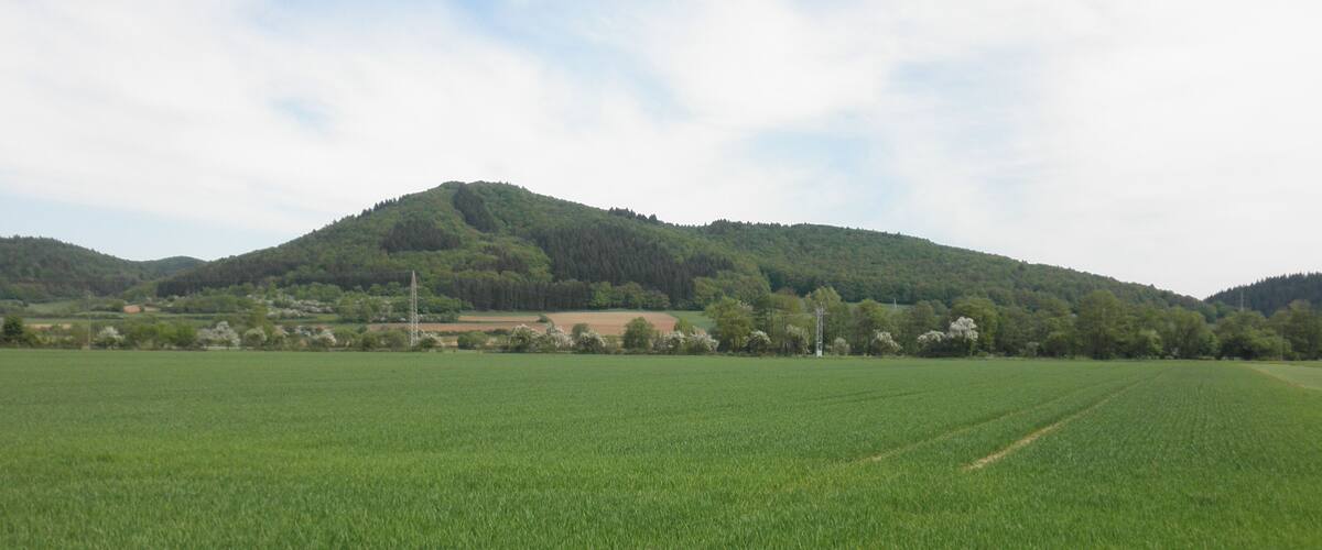 A green field with a hill in the background.