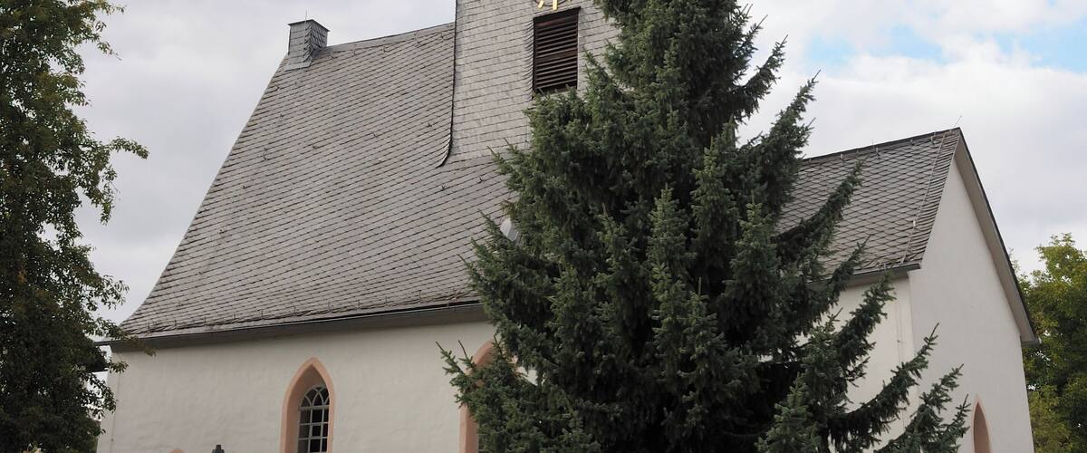 A church with a clock tower and a large tree in front.