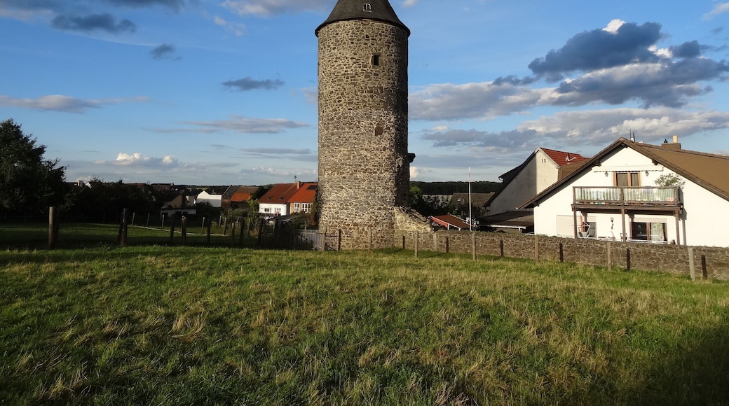 This is a picture of the hessian Kulturdenkmal (cultural monument) with the ID