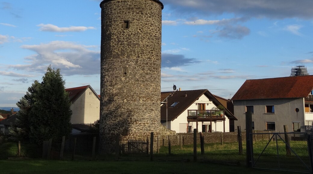 This is a picture of the hessian Kulturdenkmal (cultural monument) with the ID