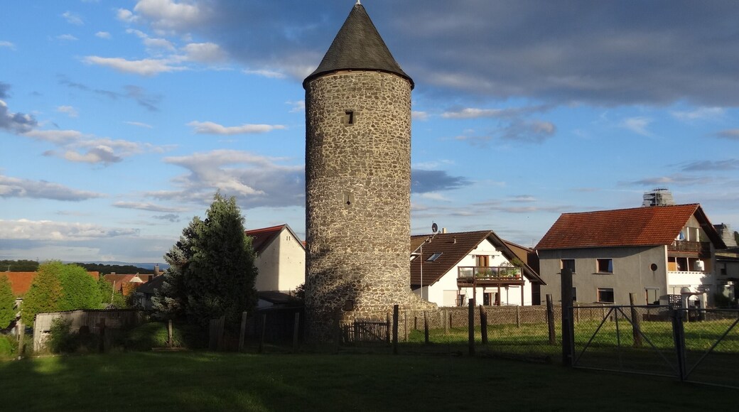 This is a picture of the hessian Kulturdenkmal (cultural monument) with the ID