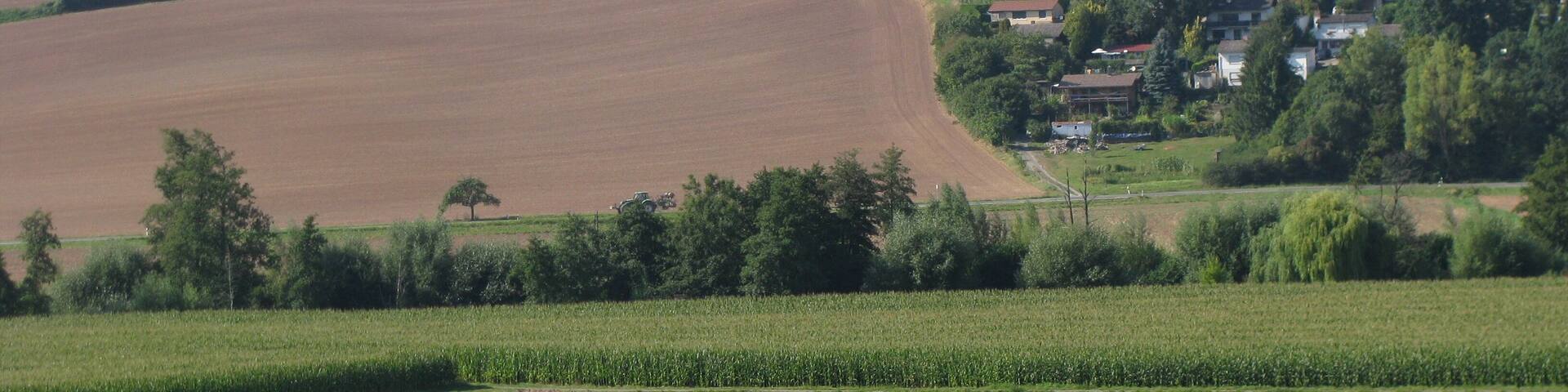 Der Dingel, der Segelflugplatz bei Hofgeismar
