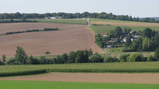 Der Dingel, der Segelflugplatz bei Hofgeismar