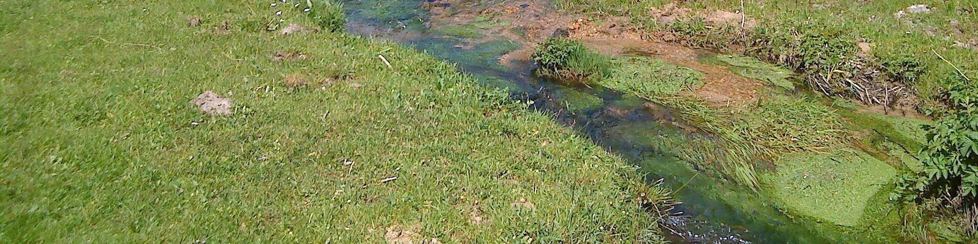 Der Flörsbach zwischen Kempfenbrunn und Flörsbach