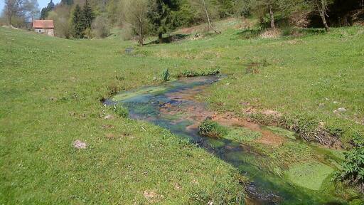 Der Flörsbach zwischen Kempfenbrunn und Flörsbach