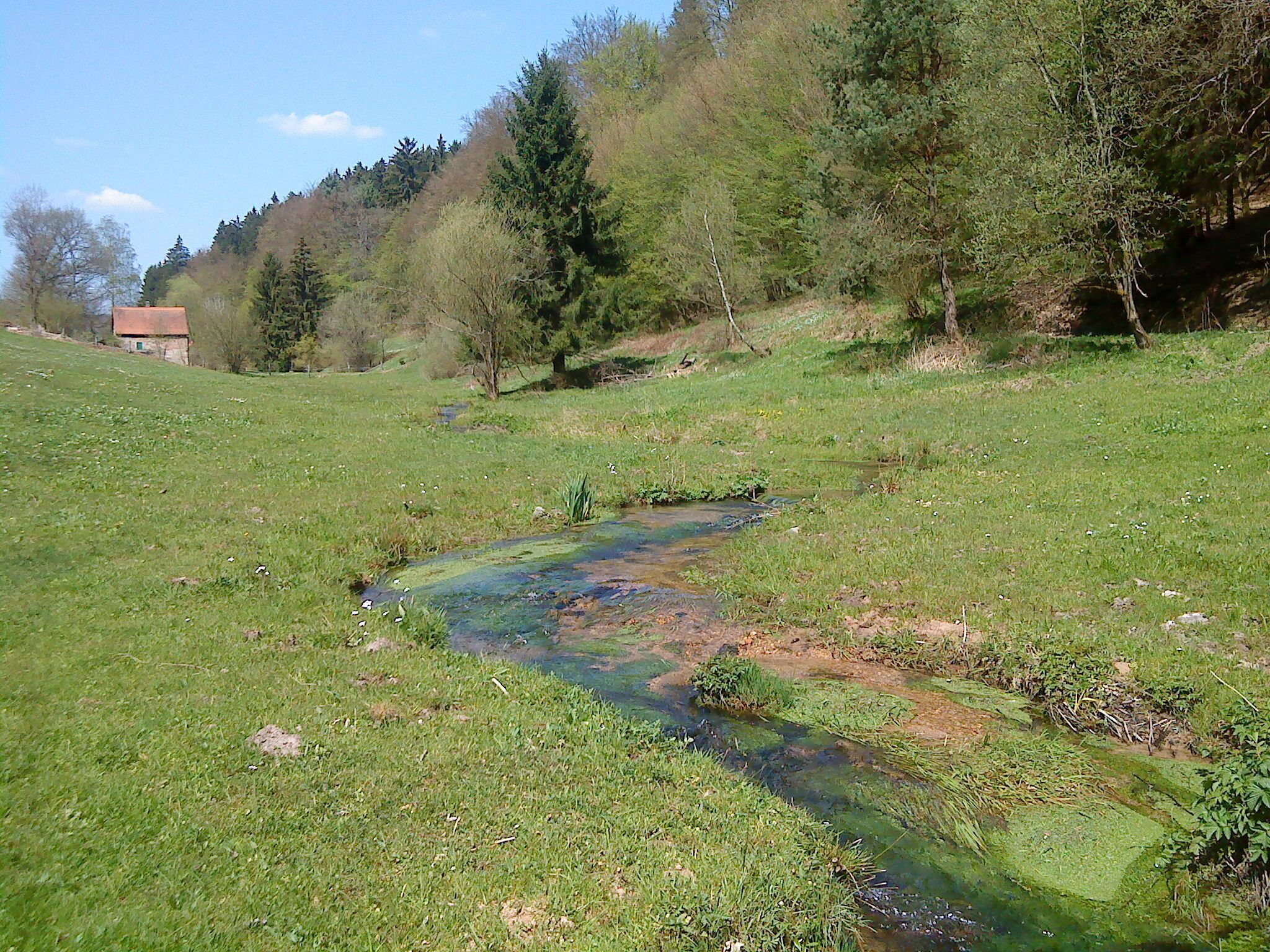A stream in a grassy field with trees and a building in the background.