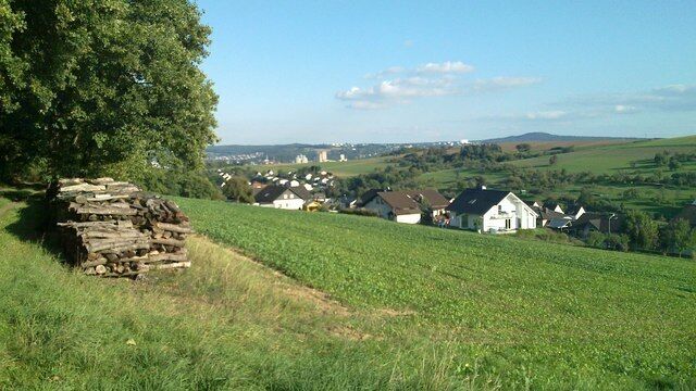A rural landscape with a stack of logs, a large tree, and houses in the background.