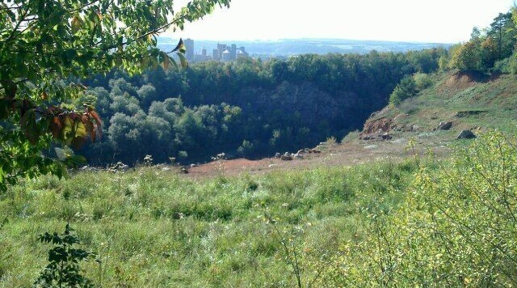 Hermannstein, Schauinsland, Blick in den ex Steinbruch