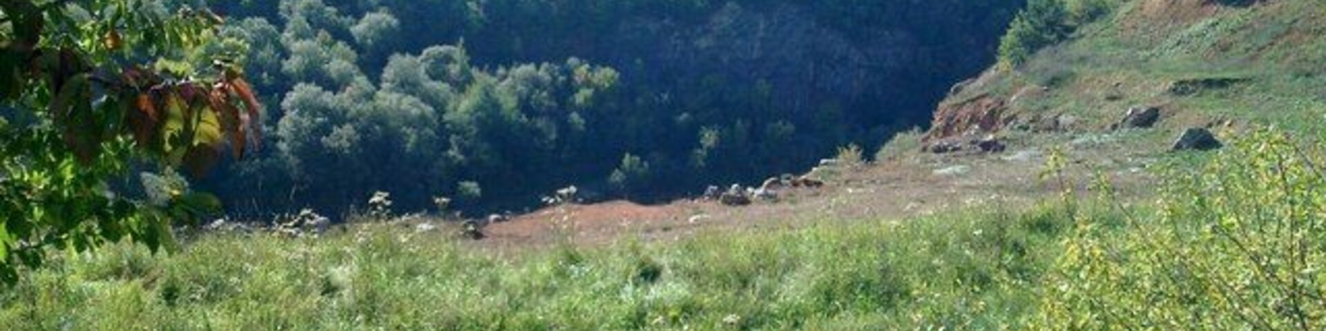 Hermannstein, Schauinsland, Blick in den ex Steinbruch