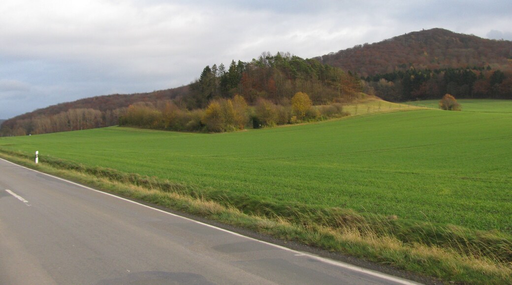 der Rohrköppel östlich von Oberelsungen