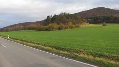 der Rohrköppel östlich von Oberelsungen