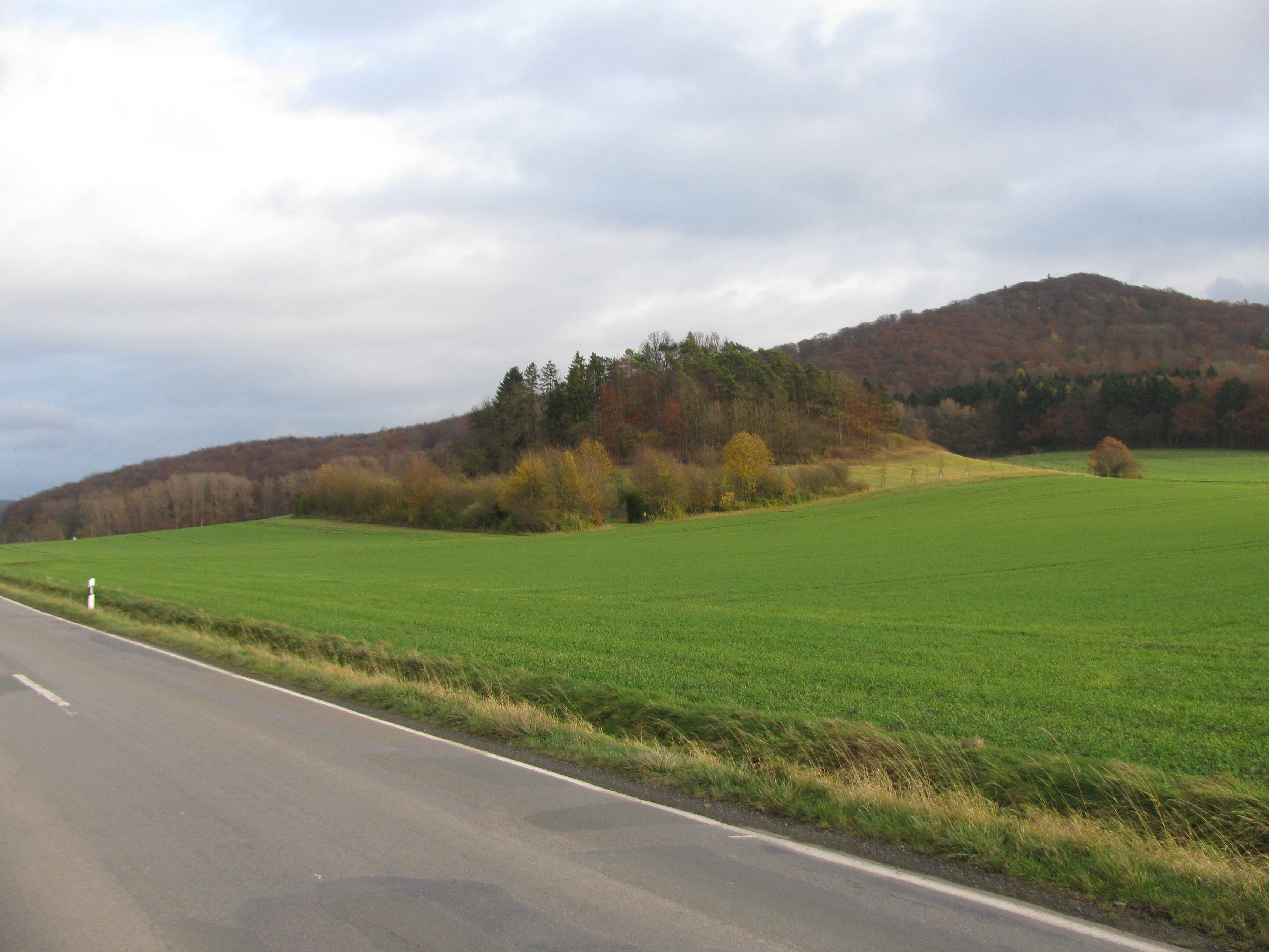 A rural road with a green field and a forested hill in the background.
