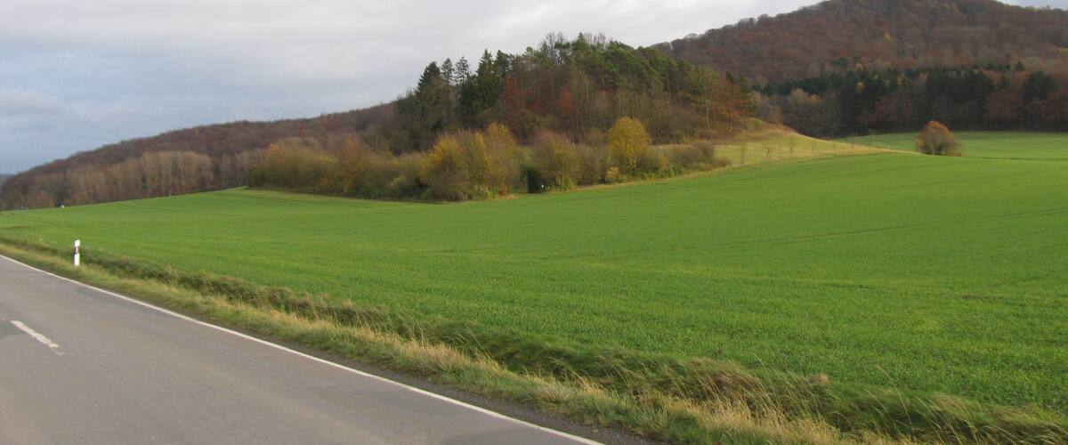 A rural road with a green field and a forested hill in the background.