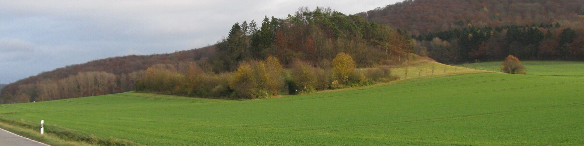 A rural road with a green field and a forested hill in the background.