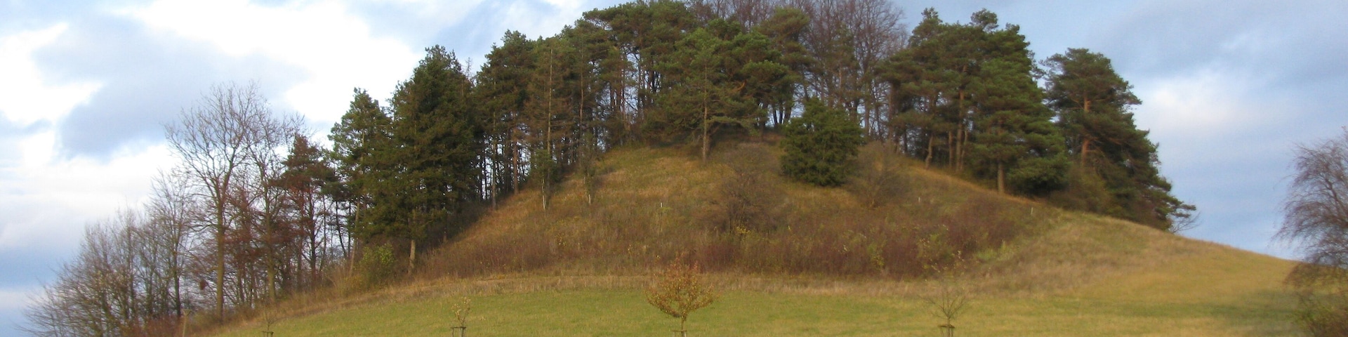 der Rohrköppel östlich von Oberelsungen