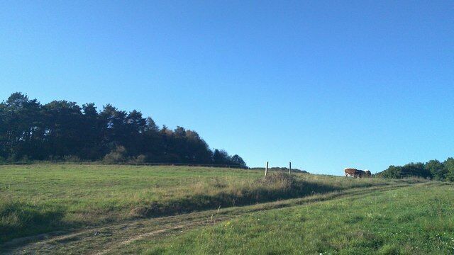 Landschaft bei Oberlemp