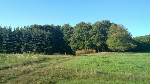Landschaft bei Oberlemp