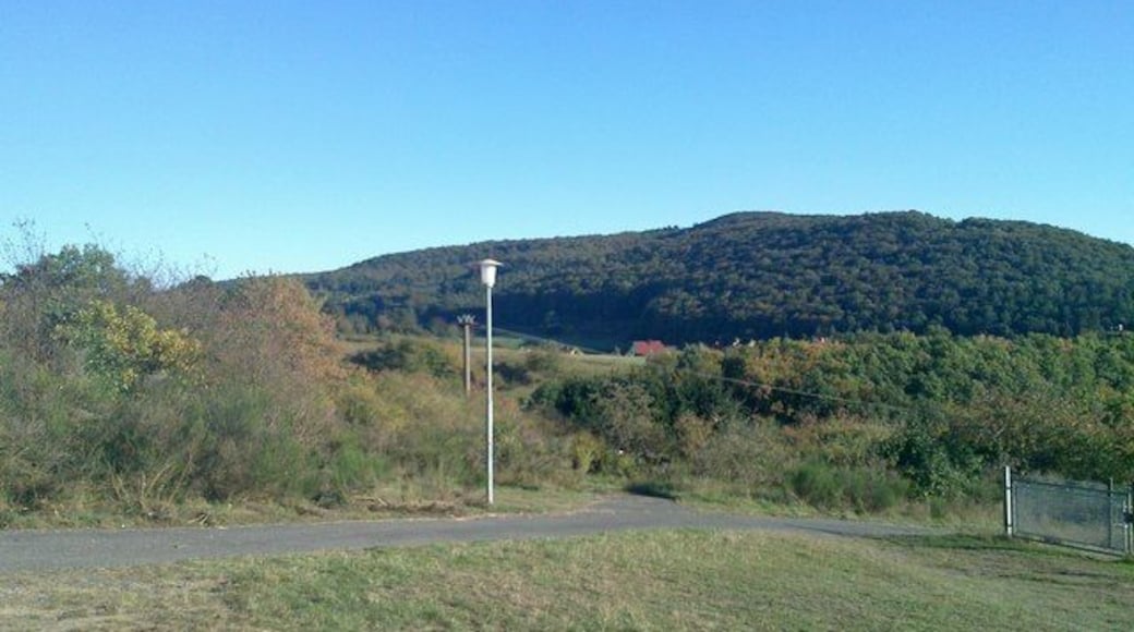 Landschaft bei Oberlemp, Blick vom Grillplatz II