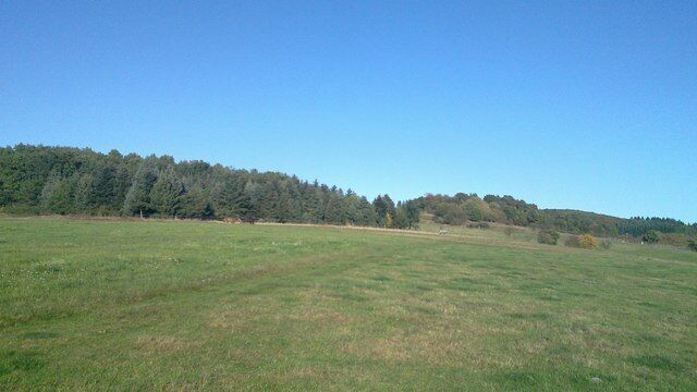 Landschaft bei Oberlemp