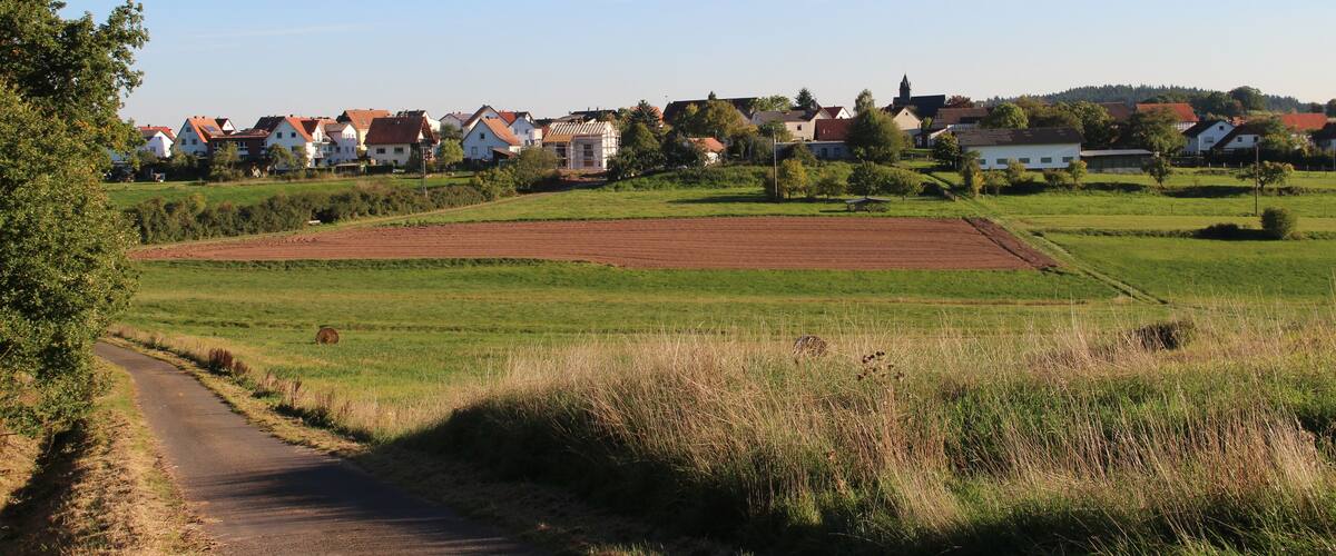 A rural landscape with a dirt road, green fields, and houses with red roofs.