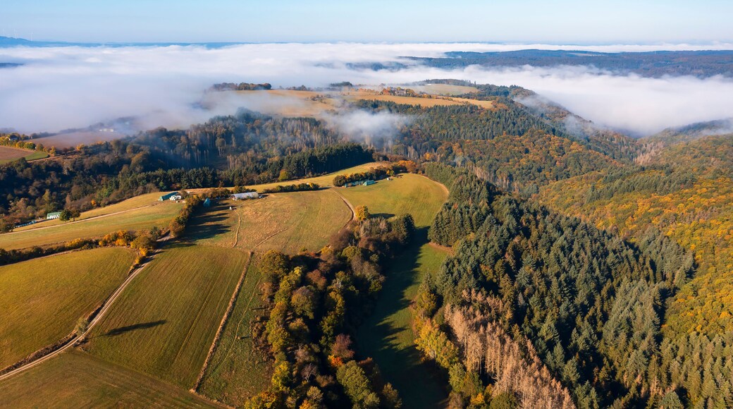 Un paisaje montañoso con campos, bosques y un pueblo.