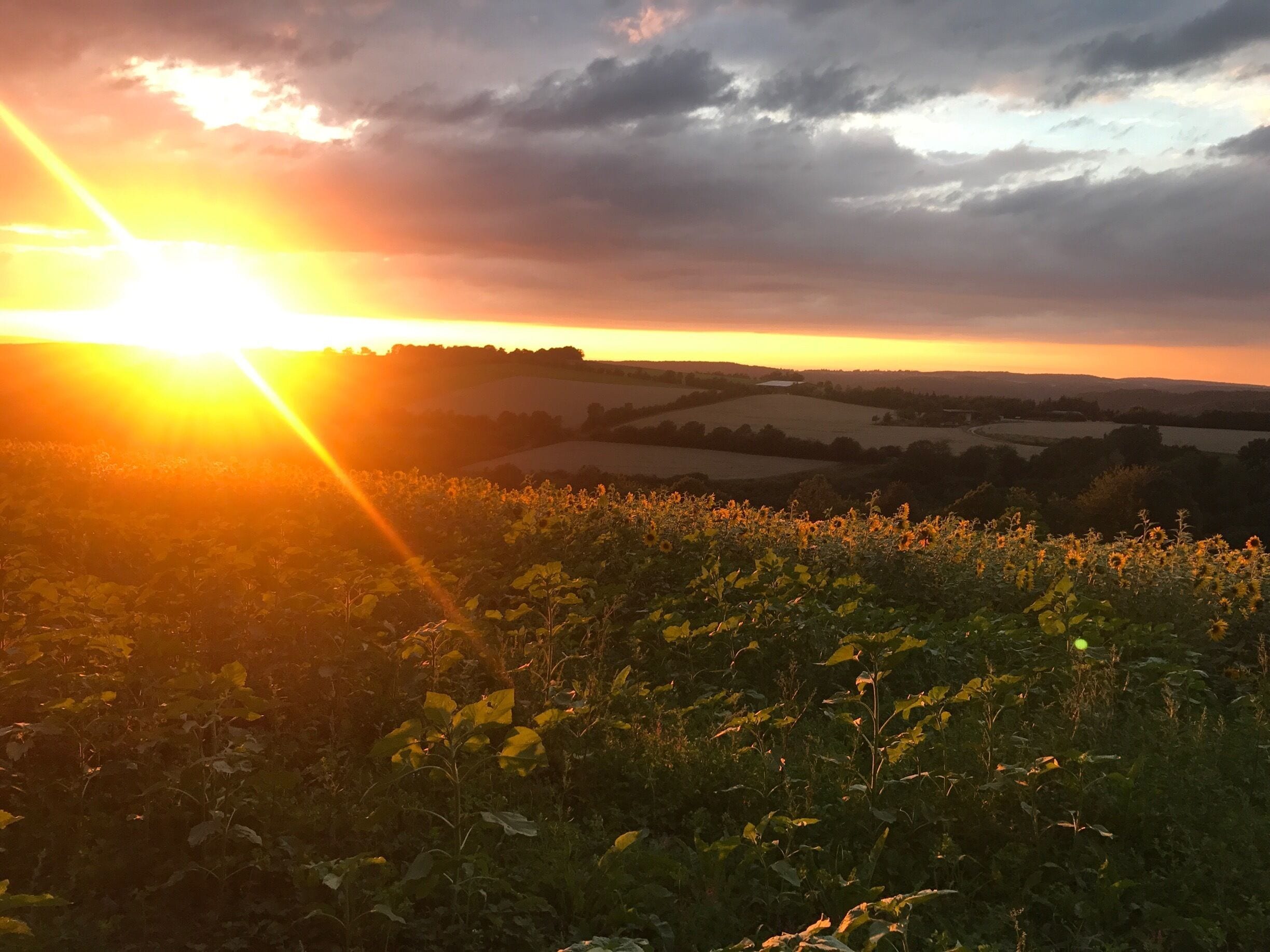 A sunset over rolling hills with fields and a clear sky.
