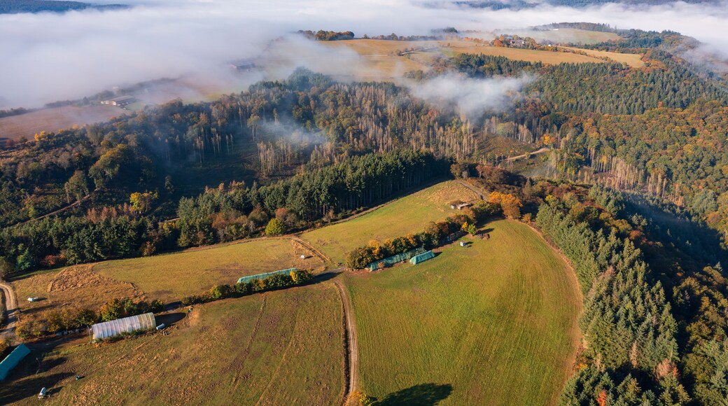 Un paisaje montañoso con un valle boscoso, un río y aerogeneradores a lo lejos.
