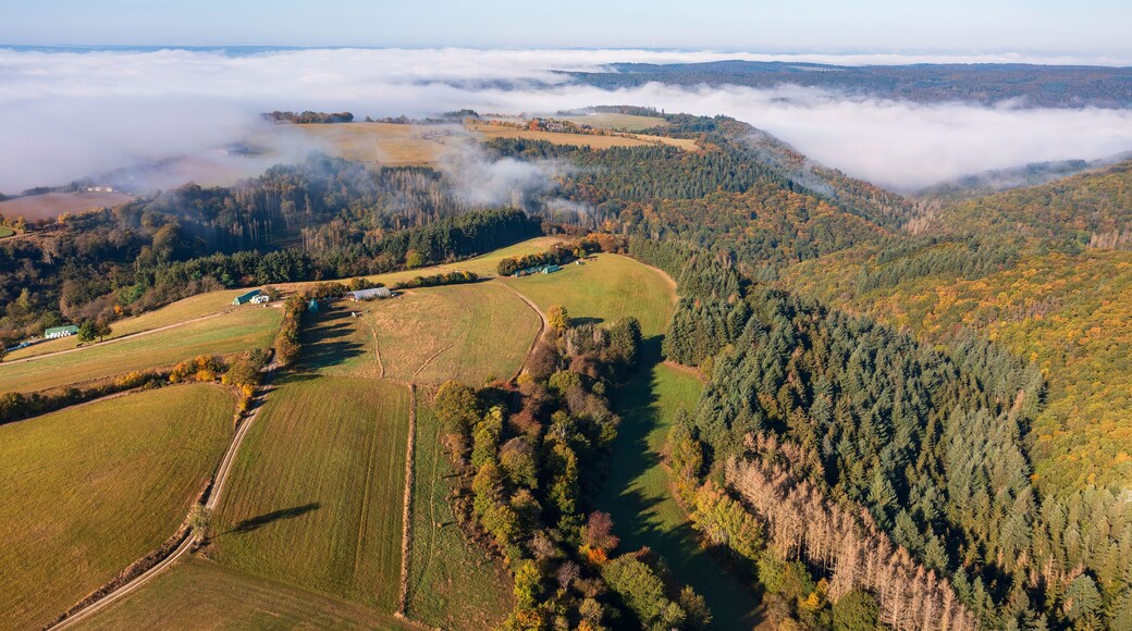 Un paisaje montañoso con campos, bosques y un pueblo.