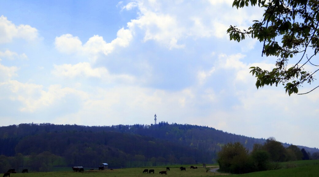 View of the Felsberg (Odenwald)
