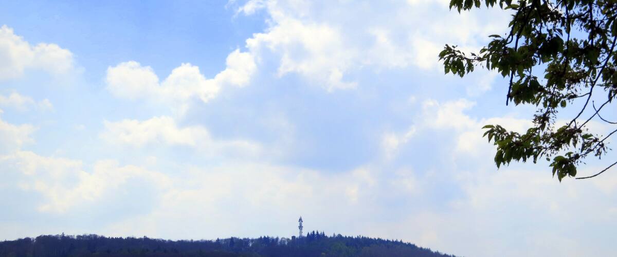 View of the Felsberg (Odenwald)