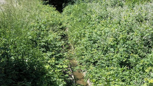 Ohlebach, Verlauf parallel zur B 449