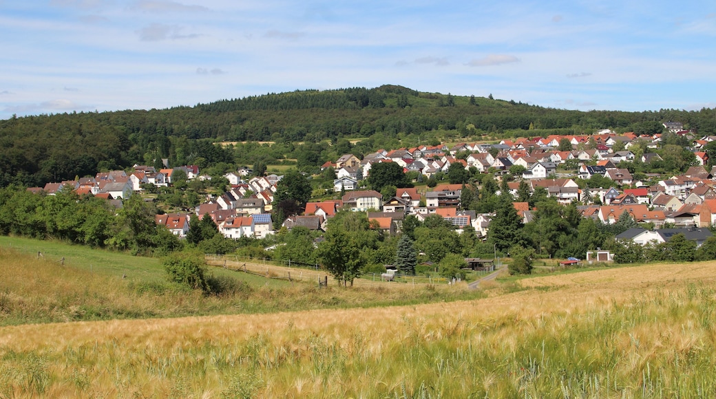 Totenberg von Südsüdwest bei Treis an der Lumda