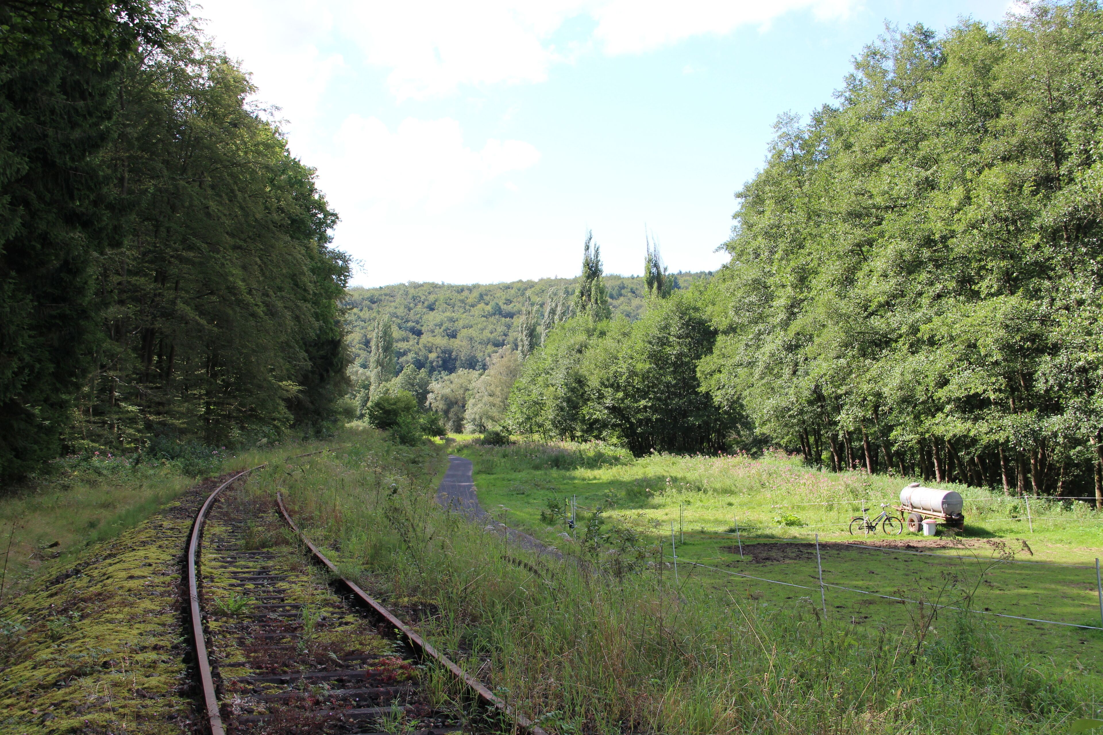 Abschnitt der Lumdatalbahn zwischen Treis und Mainzlar (Blickrichtung Mainzlar). Rechts der Gleise der Radrundweg Lumda - Wieseck