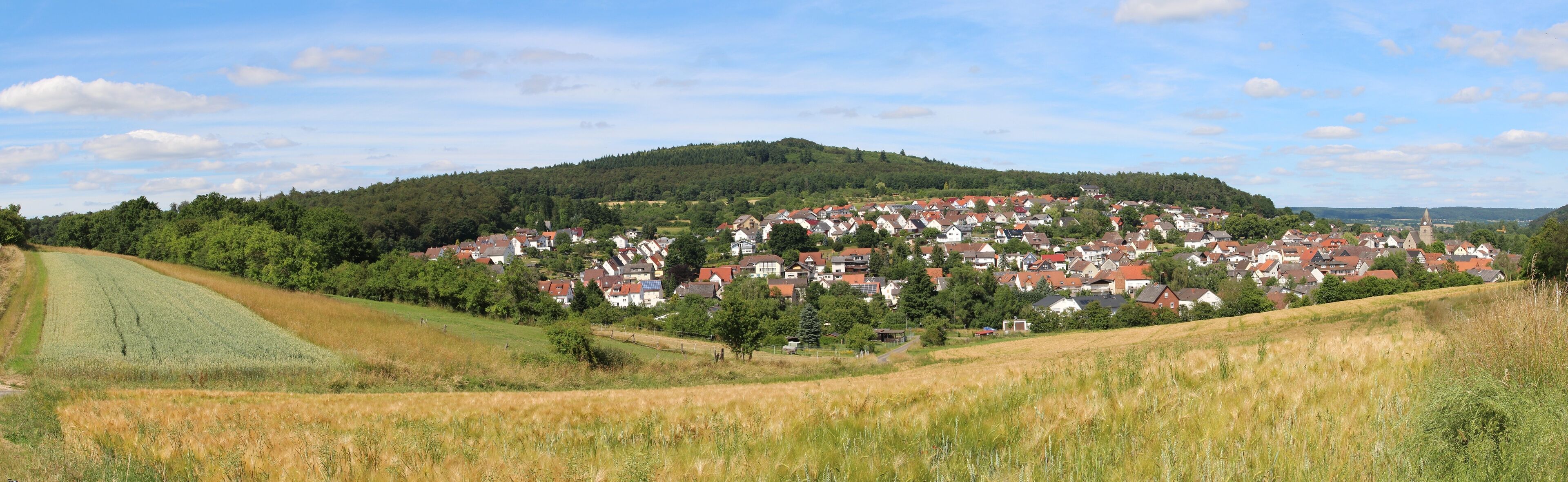 A rural village with houses on a hillside, surrounded by fields and a forested hill.