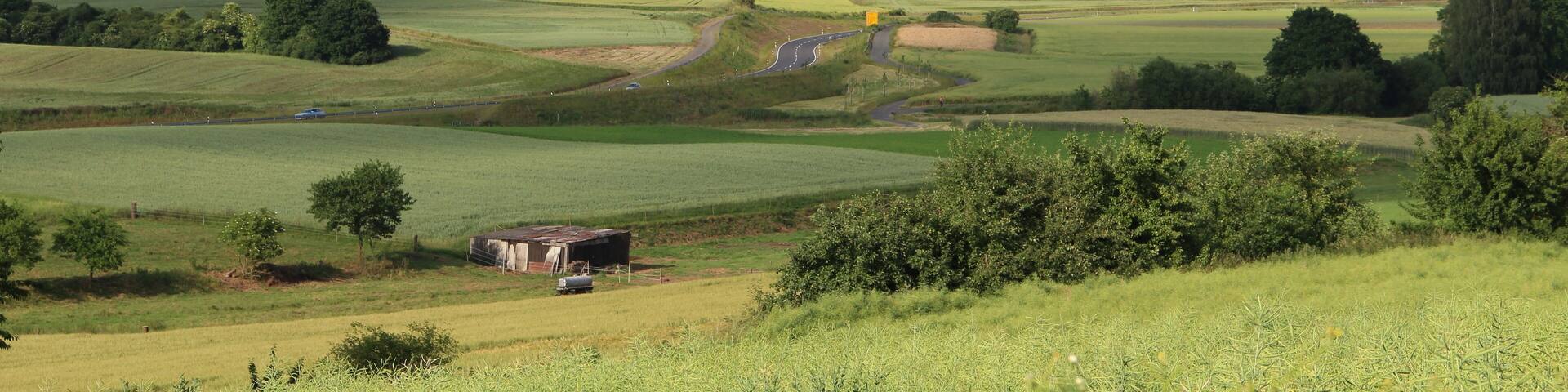 de:Niederweimar von Südwesten vom Nikolausberg westlich von de:Wenkbach. Rechts im Bildhintergrund de:Cappel (Marburg)
