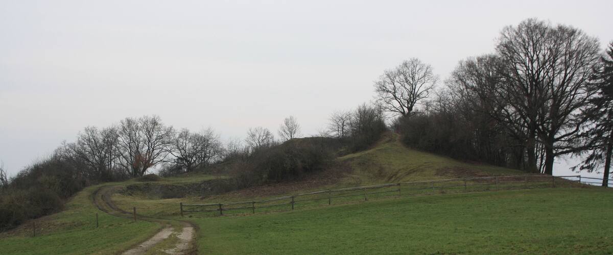A grassy hill with a dirt path and a wooden fence.