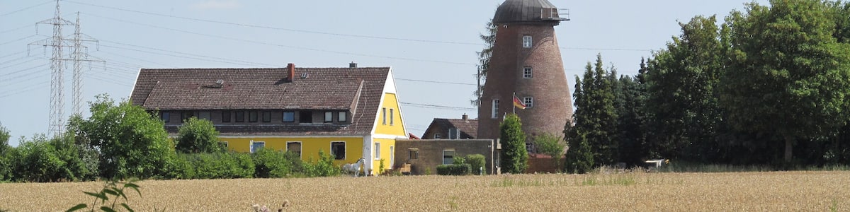 Blick vom Almhorster-Lohnder Wald zur Almhorster Mühle