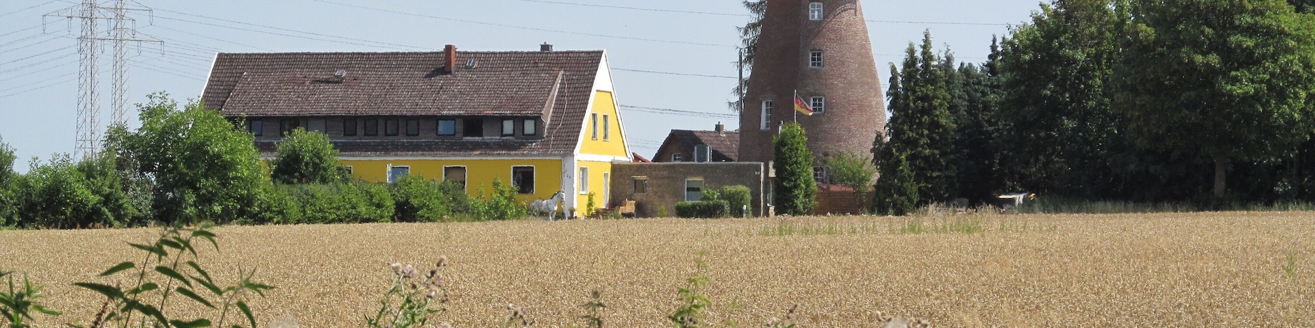 Blick vom Almhorster-Lohnder Wald zur Almhorster MĂŒhle